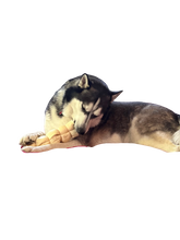 Load image into Gallery viewer, CHEW BOXES - Small/Medium and Large Breed