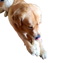 Load image into Gallery viewer, CHEW BOXES - Small/Medium and Large Breed