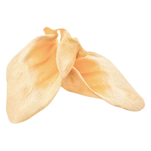 Load image into Gallery viewer, CHEW BOXES - Small/Medium and Large Breed