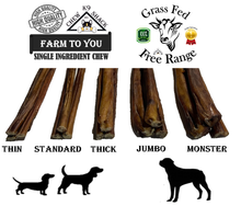 Load image into Gallery viewer, 12" Inch MONSTER Bully Sticks